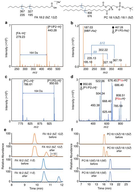 │demonstration Of The Bifunctional Reaction System For The Download Scientific Diagram