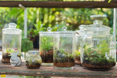 Jardín eterno qué es cómo hacerlo y cuidados Guía completa