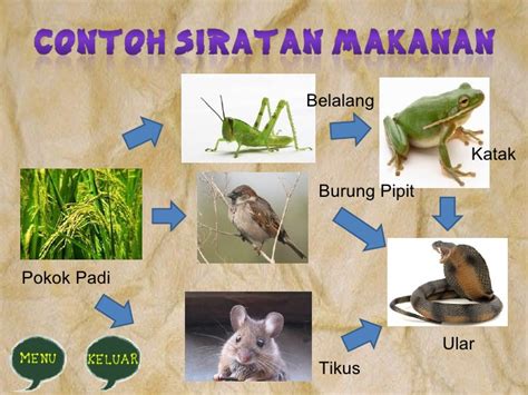 Basikal Tua Contoh Siratan Makanan