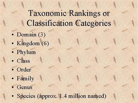 Organizing Lifes Diversity Ch 7 Notes Classification Organization