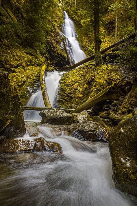 Olympic National Park Camping Guide: Everything You Need to Know About ...