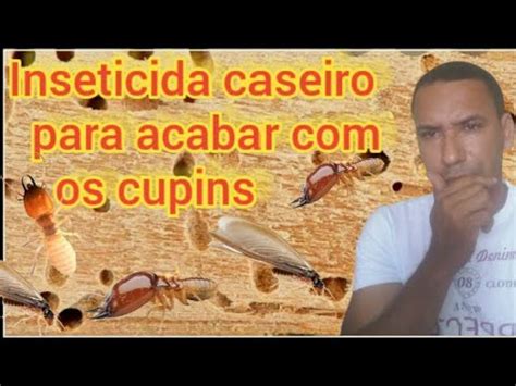 Inseticida Caseiro Para Acabar Cupins YouTube