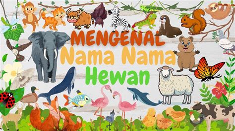 Mengenal Nama Nama Hewan A Z Belajar Nama Nama Hewan Dalam Bahasa