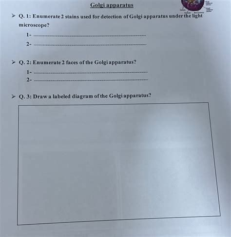 Solved Golgi ApparatusQ 1 Enumerate 2 Stains Used For Chegg