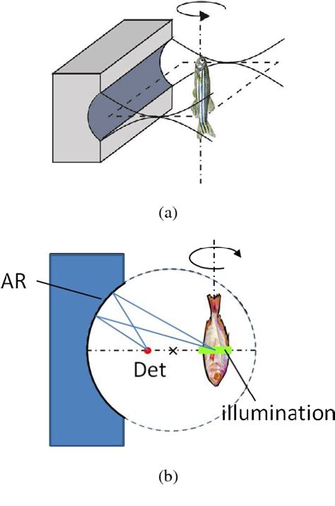 Figure 2 From Photoacoustic Section Imaging With Integrating Detectors