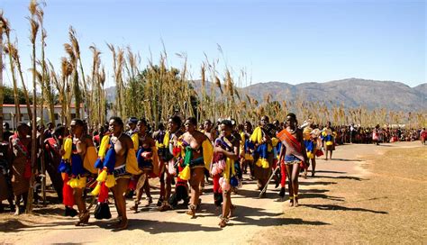 Reed Dance Of Swaziland: Tradition, Culture, & Controversy In 2025