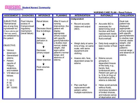 20 Diabetes Care Planning Template Simple Template Design