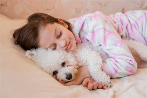 Cachorro De Meses Cu Ntas Horas Duerme Al D A