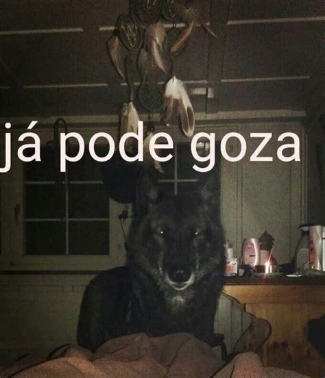 J Pode Goza I Ifunny Brazil