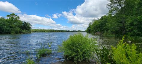 Reservoir Park Trail, Virginia - 880 Reviews, Map | AllTrails