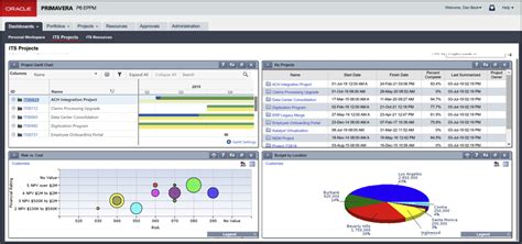 Oracle Primavera P6 DRMcNatty Associates