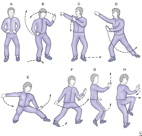 The Art Of Tai Chi For Beginners - mash za carou download