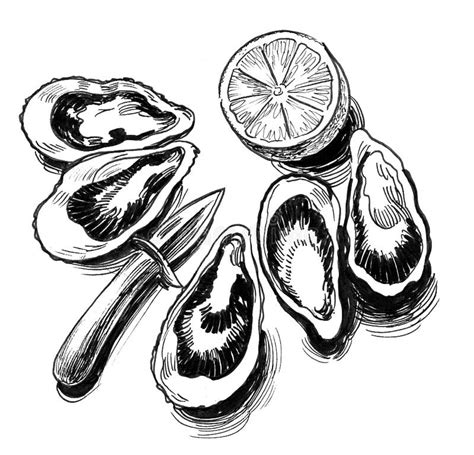 Oysters Stock Illustrations 4635 Oysters Stock Illustrations Vectors And Clipart Dreamstime