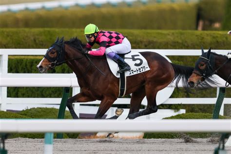 【新馬阪神6r】武豊 スマートセプターがデビューv 競馬ニュースなら競馬のおはなし