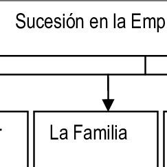 Individuos Y Grupos Afectados Por La Sucesi N En La Empresa Familiar