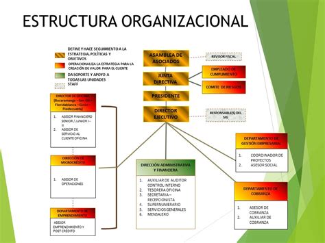 Ejemplos De Estructura Organizacional