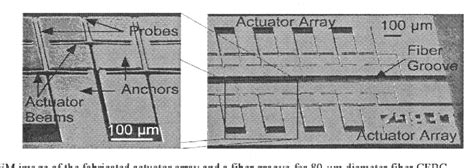 Figure From A Programmable On Chip Ultrashort Pulse Shaper Using A