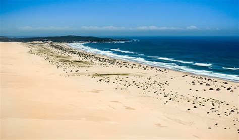 Worimi National Park Nsw National Parks