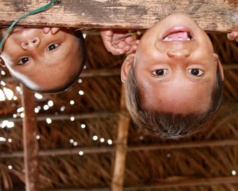 Qué es la modalidad de educación propia e intercultural para primera