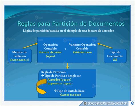 Sap Fi La Parametrizaci N Del Desglose De Documentos Cvopen Academy