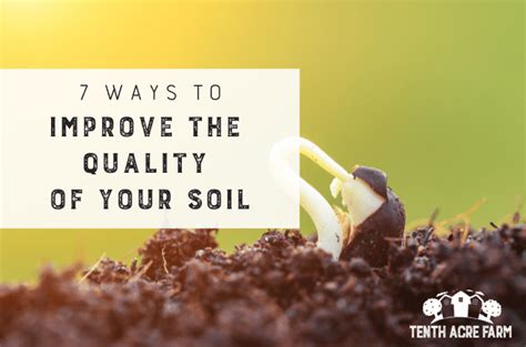 How To Improve Clay Soil In Steps Tenth Acre Farm