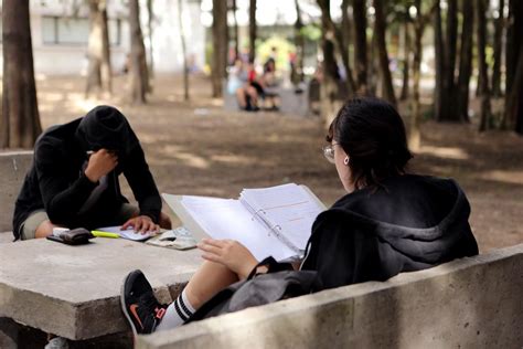 Comenzó la inscripción para el ciclo lectivo 2025 en la UNLP cómo