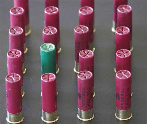 Ammo Shortages Still Hampering Rural Subsistence Hunters - KNOM Radio