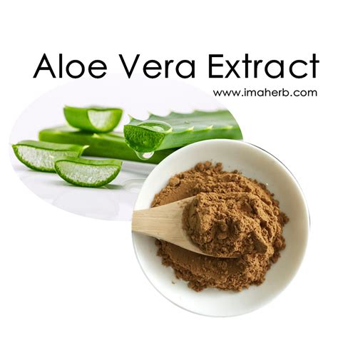 Aloe Vera Extract, Aloin, Aloinoside, Aloe Barbadensis Leaf Extract Powder