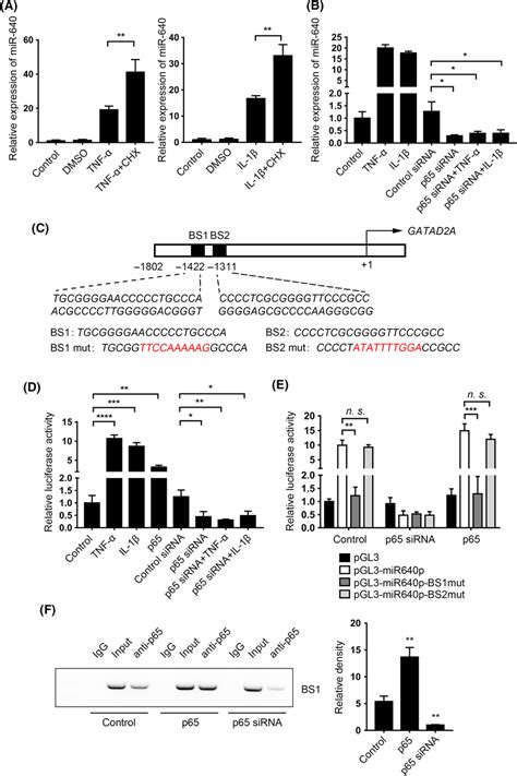 Nf‐κb Signal Regulated Mir‐640 Transcription Directly A The Tnf‐α