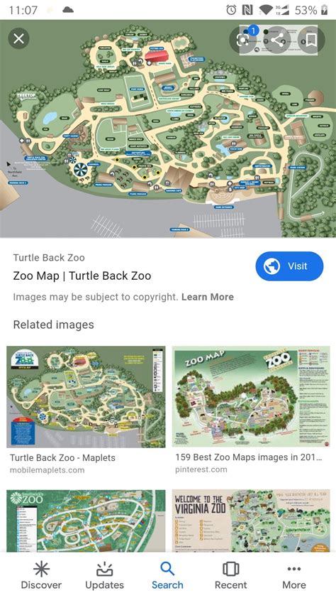 Turtle back zoo map | Zoo map, Map turtle, Map