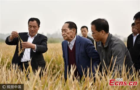 Yuan Longping S Hybrid Rice Sets New Record In Production