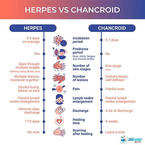 Candidiasis Del Pene Vs Herpes