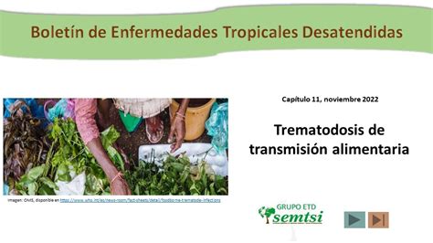 Boletín 11 de Enfermedades Tropicales Desatendidas Trematodosis de