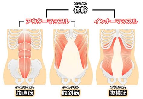 インナーマッスルとアウターマッスルの違い｜qitano ® 北野カラダづくりラボ