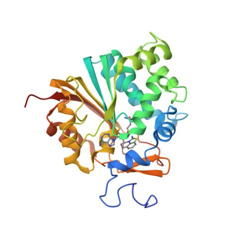 RCSB PDB 7BKG Co Crystal Structure Of Human Nicotinamide N