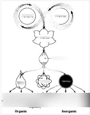 ayurveda module 1: Sankhya Philosophy Diagram | Quizlet