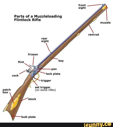 Front Sight Parts Of A Muzzleloai Flintlock Rifle Rear Sight Muzzle Hot Sex Picture