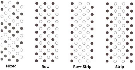 Intercropping - Horta Biológica