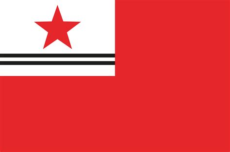 ملف Proposed PRC national flags 013 svg المعرفة