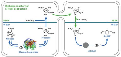 Catalysts Free Full Text From A Sequential Chemo Enzymatic Approach