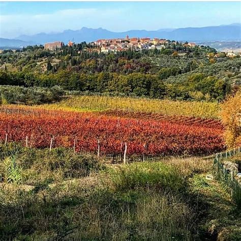 Autumn in Tuscany!