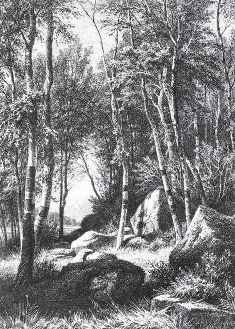 Réplique De Peinture Au bord d une bosquet de bouleau Valaam 1860 de