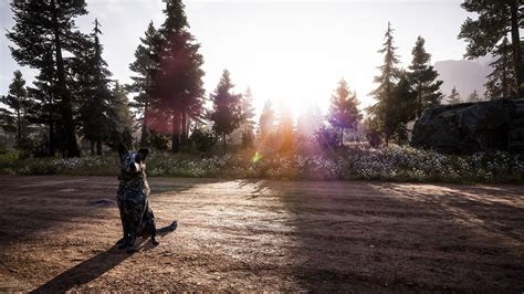 Far Cry 5 Screenshots Flickr