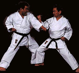 toyo karate uniform black monkey deals