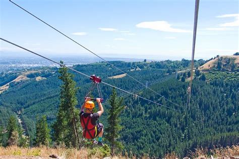 Christchurch Zipline Tour: Triphobo