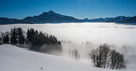 Schafberg in Außerhalb Salzburgs Schöne Heimat Fotoblog SN at