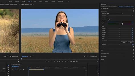 How To Composite Green Screen Footage Using Chroma Key