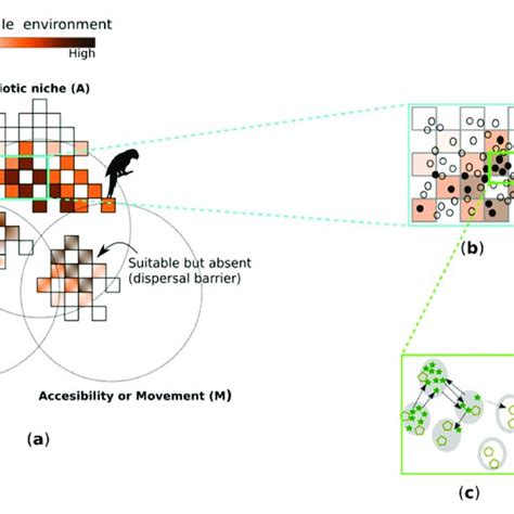 The Main Paradigms For Modelling Species Distribution Operate At