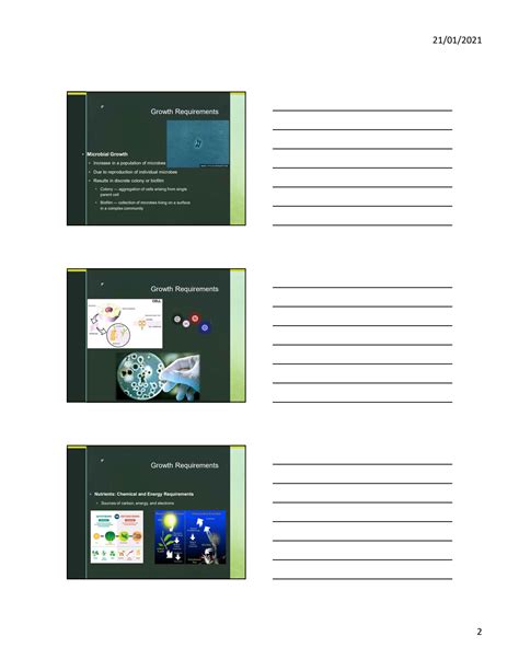 Solution Microbiology Chapter Microbial Nutrition Growth Studypool