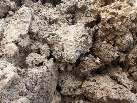 photo   mud soil resulting   excavation   hole